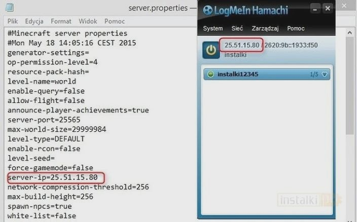 Co to jest Hamachi w Minecraft? Jak działa i do czego służy