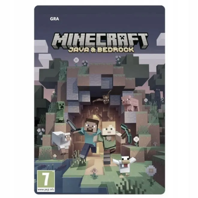 Konto premium w Minecraft – jakie funkcje i korzyści zyskujesz?