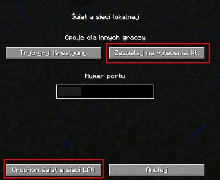 Gra przez LAN