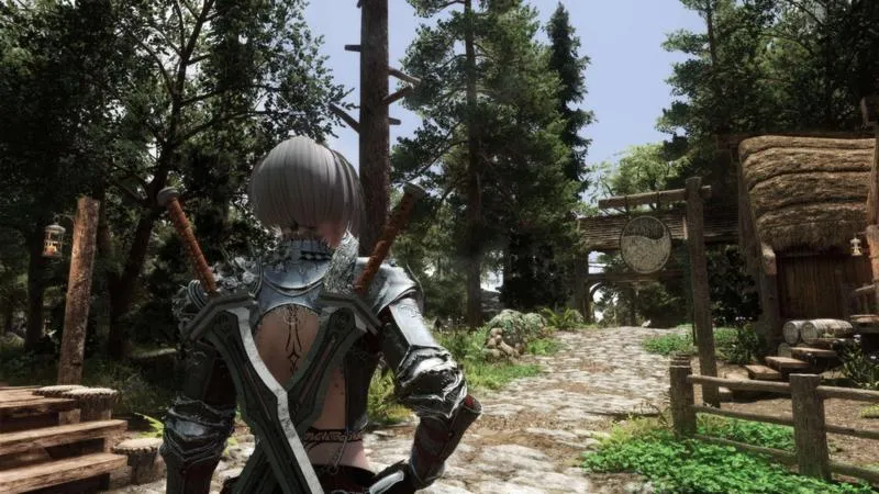 Instalacja modów do Skyrim