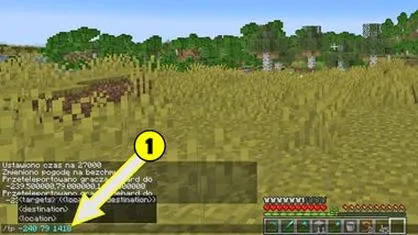 Warp w Minecraft