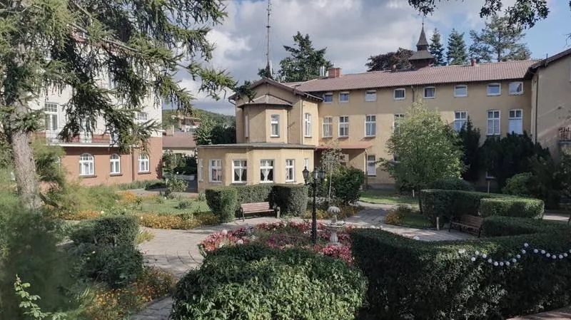 Wiedźmin 3 biała mewa